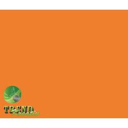   Színes lapok narancssárga intenzív KreatívTREND A/4 (210x297mm) 80g 10ív