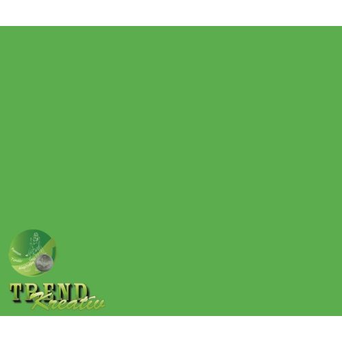 Színes lapok zöld intenzív KreatívTREND A/4 (210x297mm) 80g 10ív