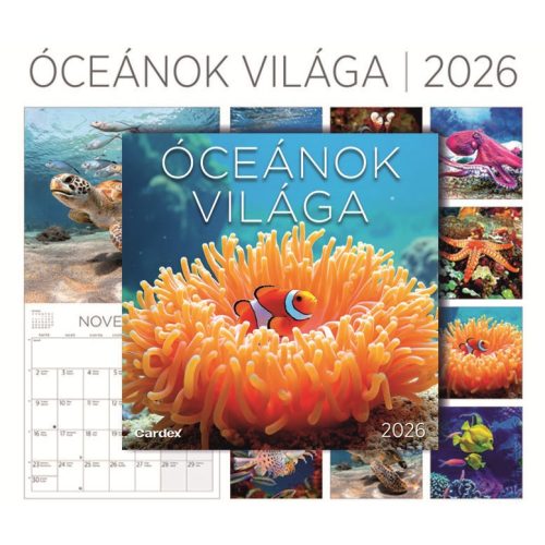 Falinaptár Óceánok világa 2026 Cardex 305x610mm
