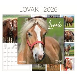 Falinaptár Lovak 2026 Cardex 305x610mm
