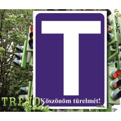   Információs mágnes "Tanulóvezető" kék-fehér IrodaTREND 150x200mm