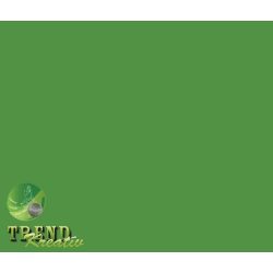 Dekorkarton kétoldalú sötétzöld intenzív KreatívTREND 640x450mm 240g
