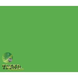   Dekorkarton kétoldalú zöld intenzív KreatívTREND A/4 (210x297mm) 240g